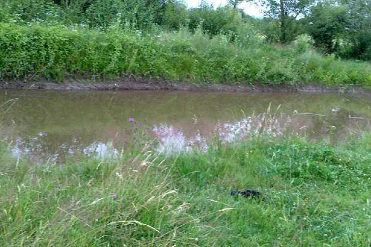 На Закарпатье утонул 11-летний мальчик