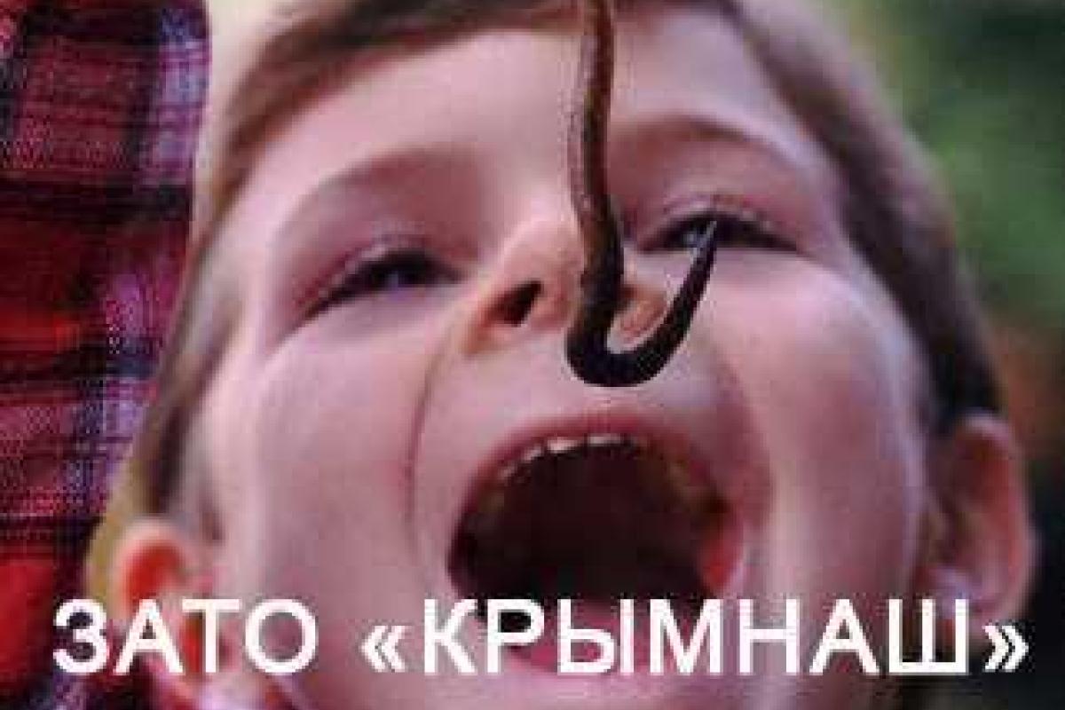 Жителям РФ предлагают питаться дождевыми червями