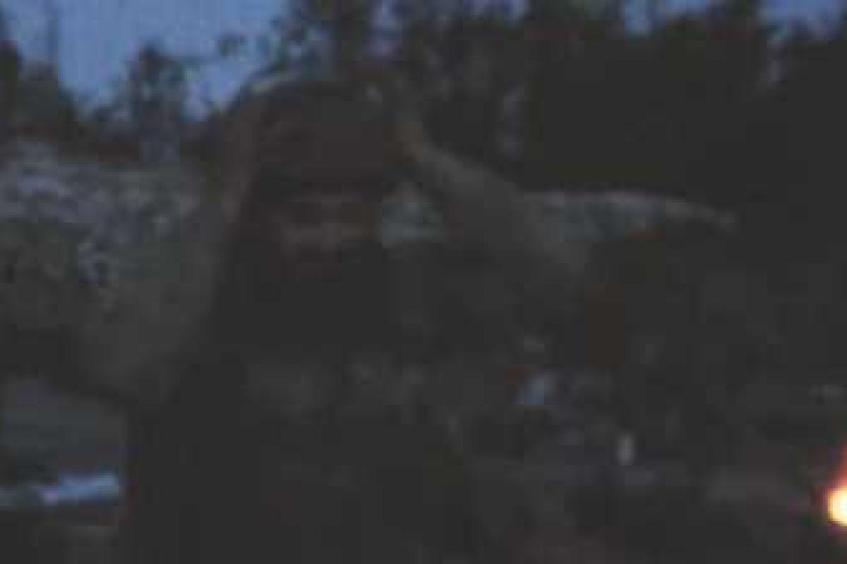 Бойцы АТО повторили подвиг мушкетеров Бойцы АТО повторили подвиг мушкетеров