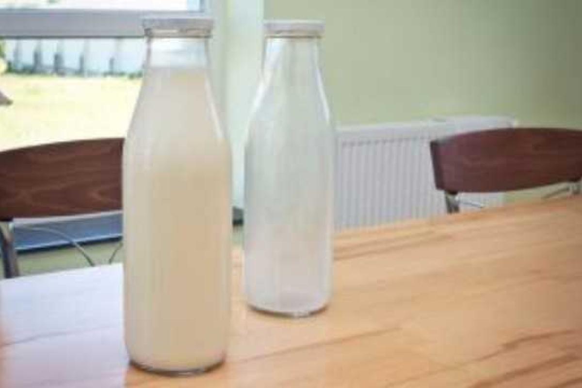 Мнение: Украине грозит закрытие молокозаводов