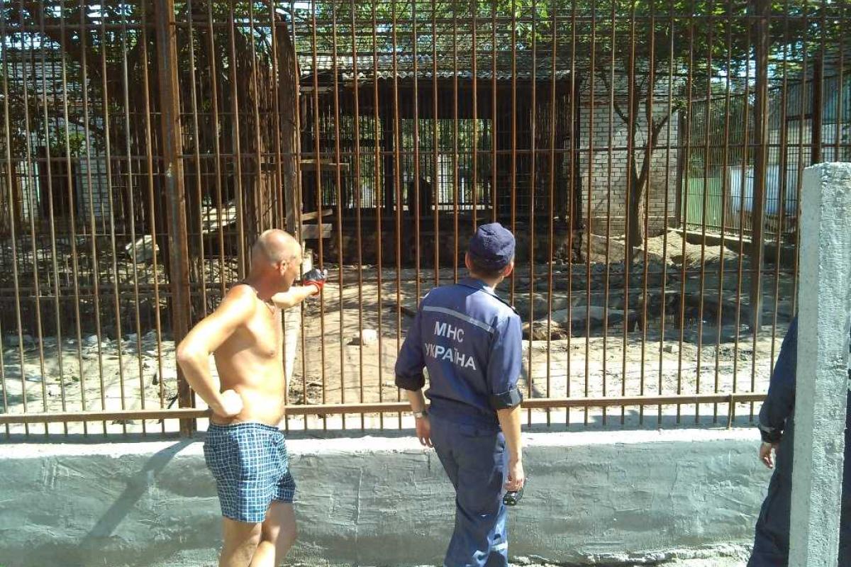 В Херсоне из мини-зоопарка сбежали двое медведей В Херсоне из мини-зоопарка сбежали двое медведей