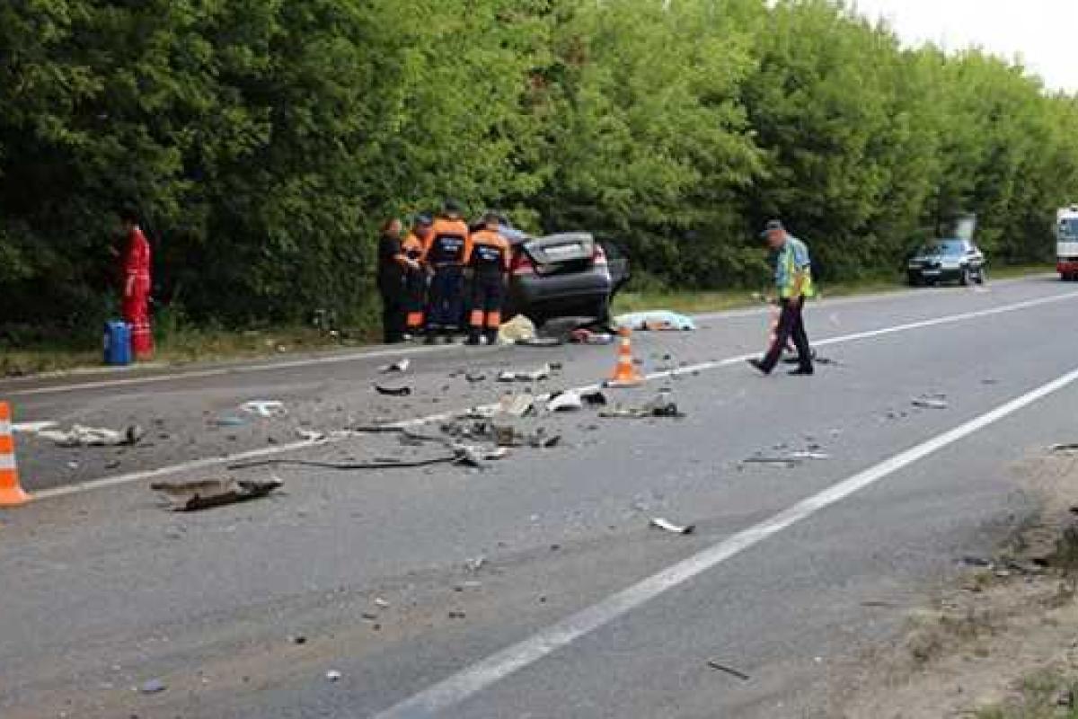 Под Винницей кот стал причиной гибели двух человек