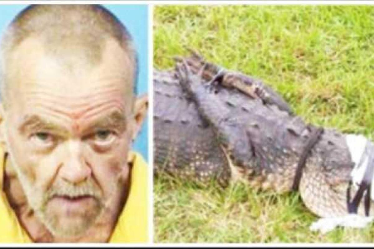 Высший уровень идиотизма: мужчина занимался сексом с аллигатором