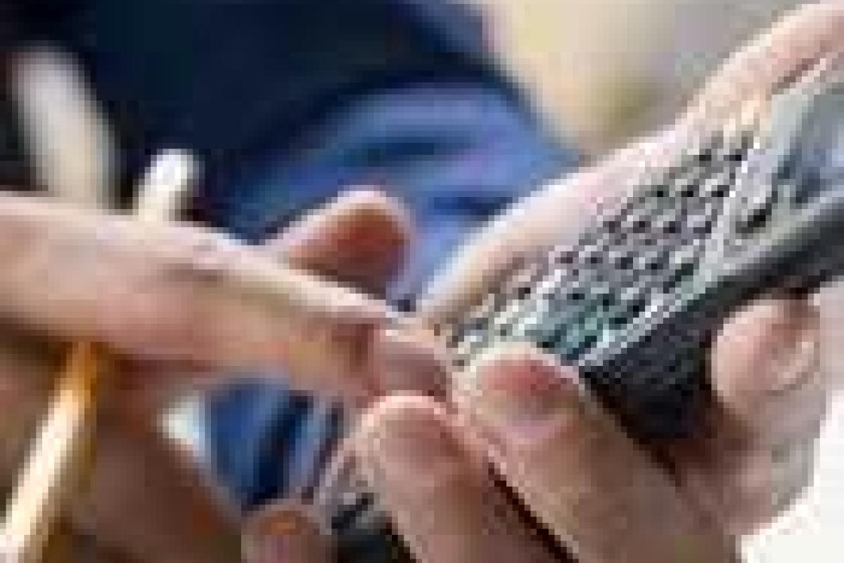 Переселенцы смогут получать помощь по нетрудоспособности по месту жительства