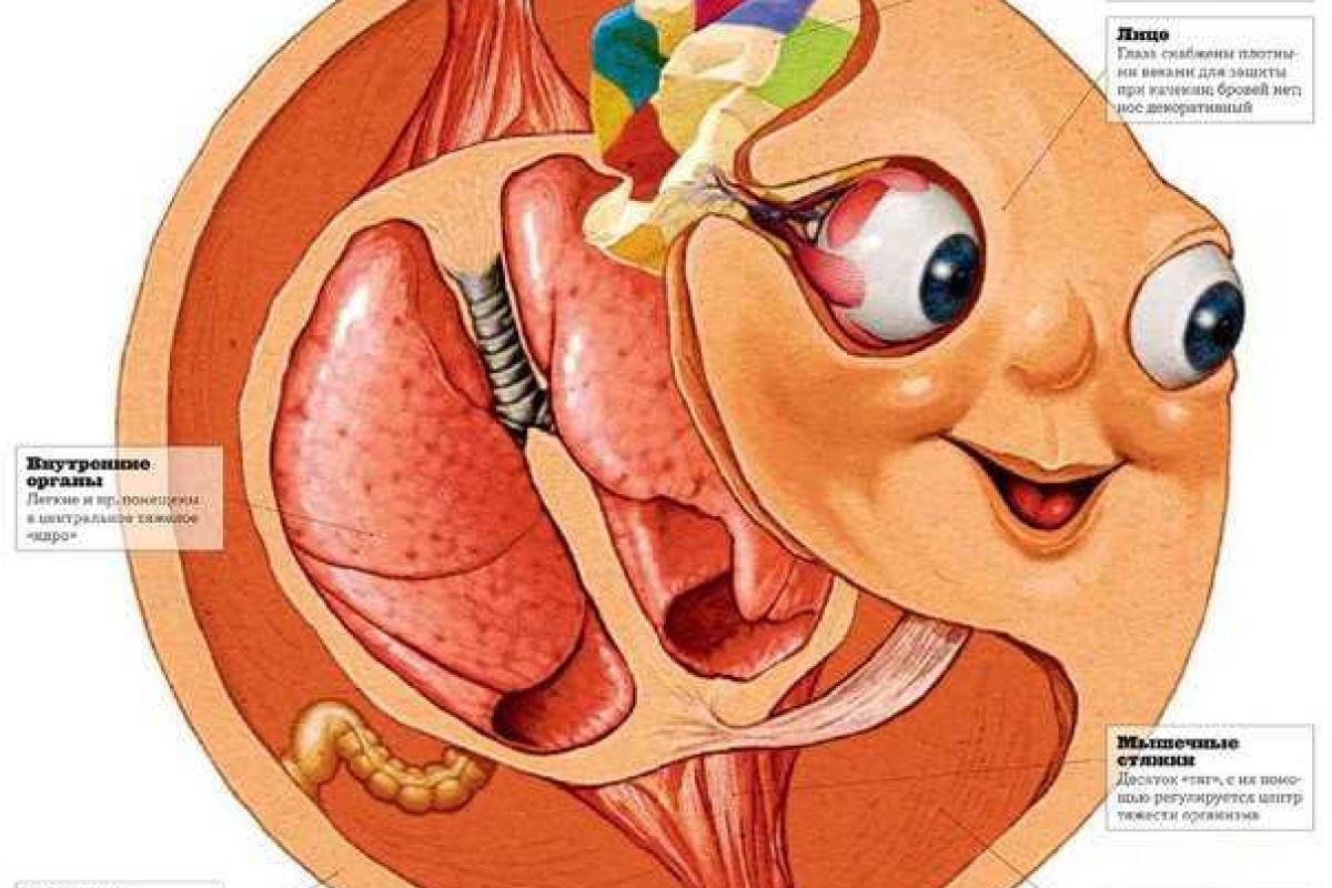 В России показали "расчлененного" Колобка В России показали "расчлененного" Колобка