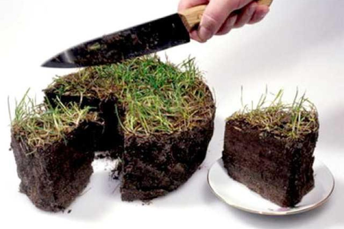 Участники АТО уже получили 29,5 тыс. земельных участков