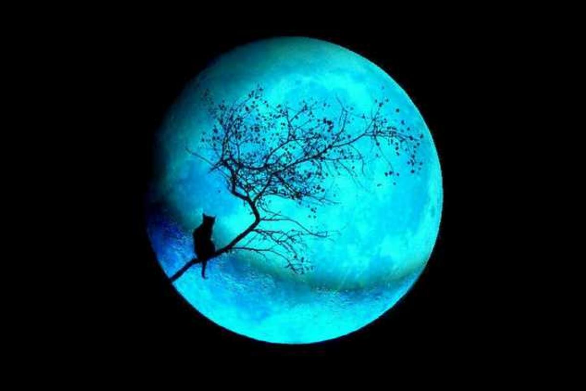 Сегодня ночью жители Земли увидят редкую «голубую Луну» Сегодня ночью жители Земли увидят редкую «голубую Луну»