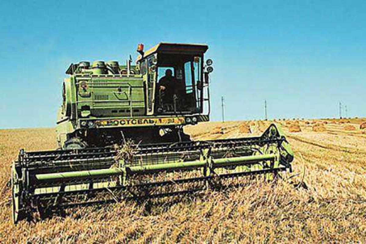 Оккупированный Донбасс останется без хлеба - Павленко