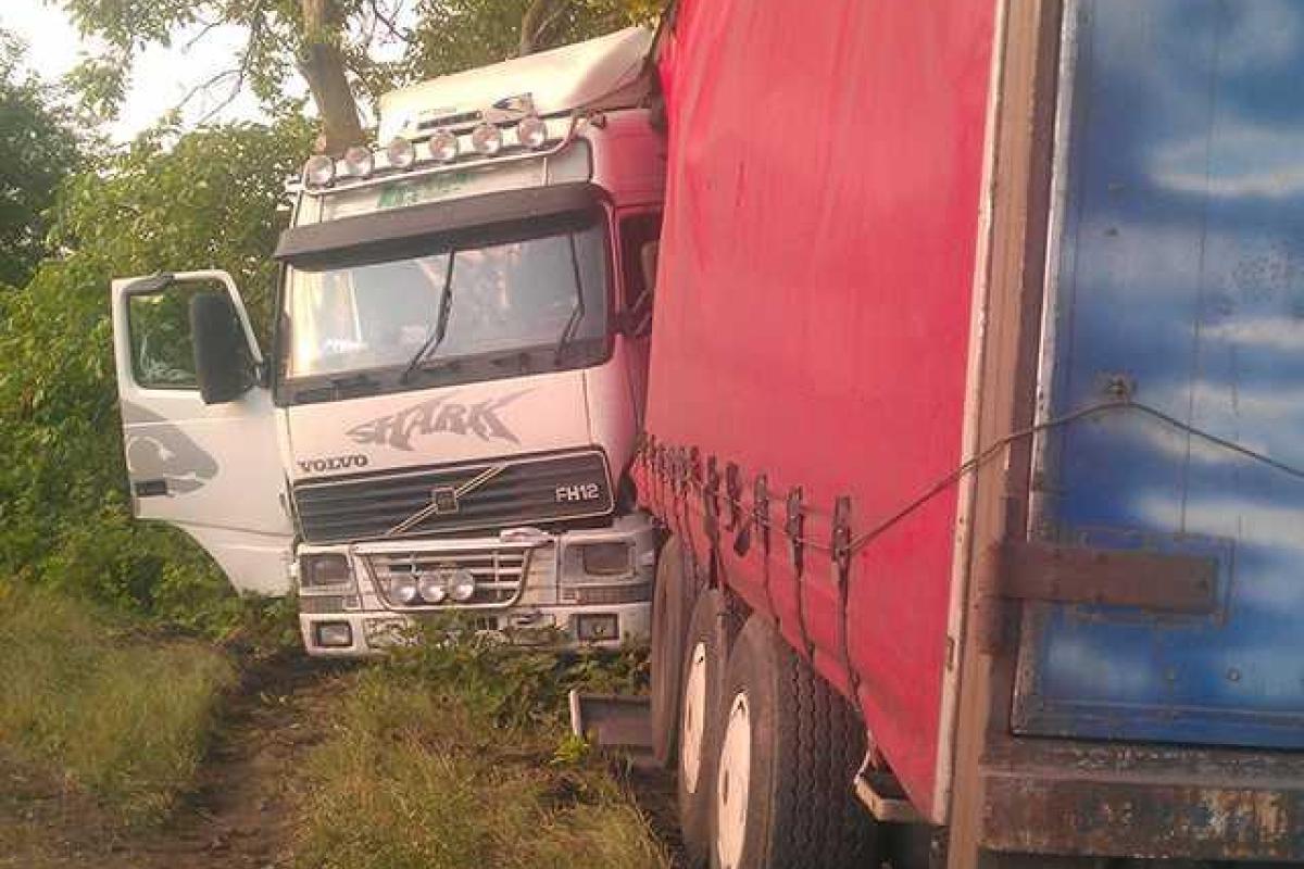 На Николаевщине фура съехала в кювет и застряла между деревьями 