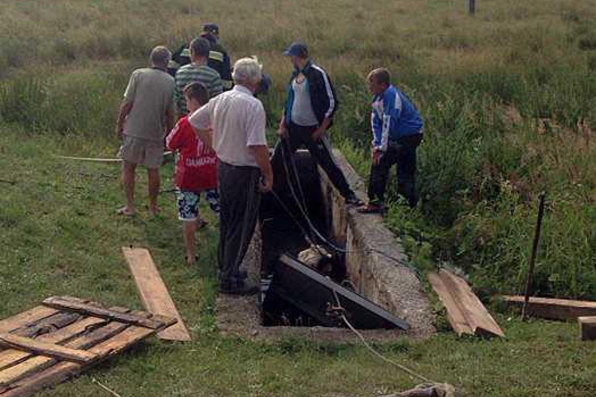 Корова упала в пожарный водоем на Закарпатье