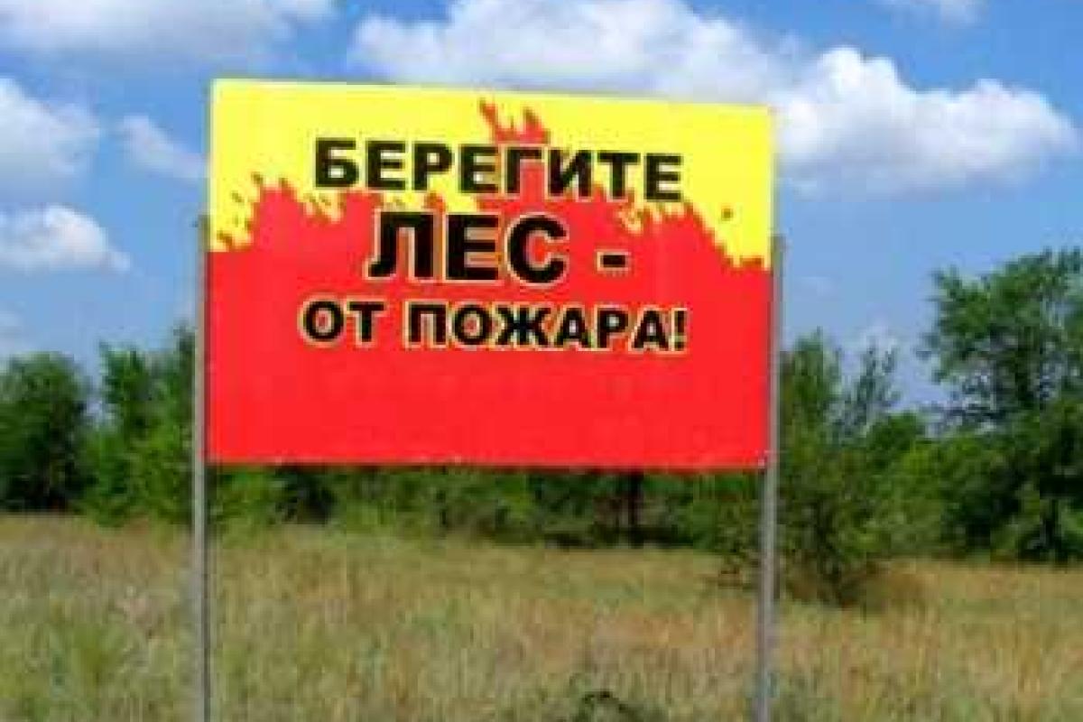 В леса под Севастополем не пускают туристов
