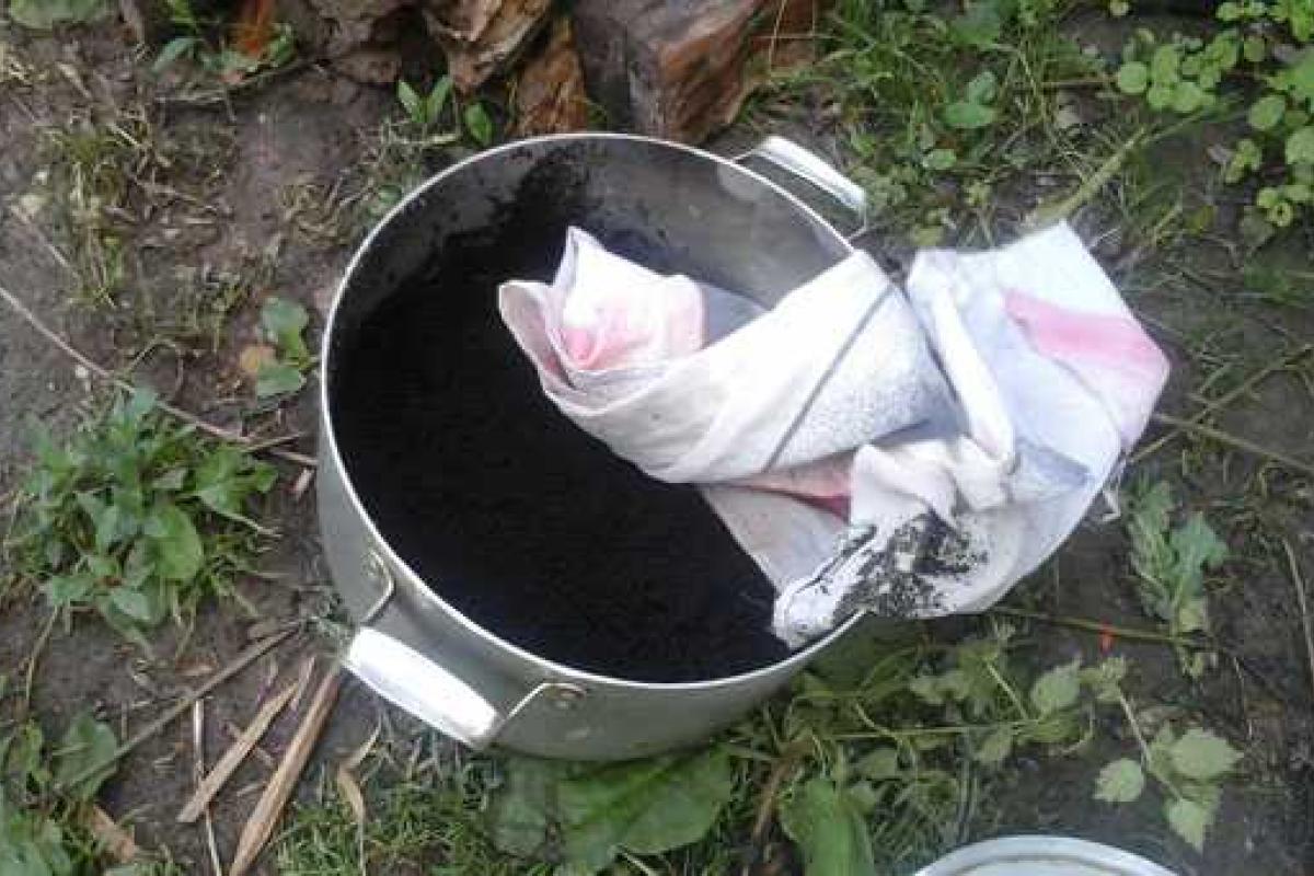 Трое неизвестных возле леса принимали наркотики на Харьковщине