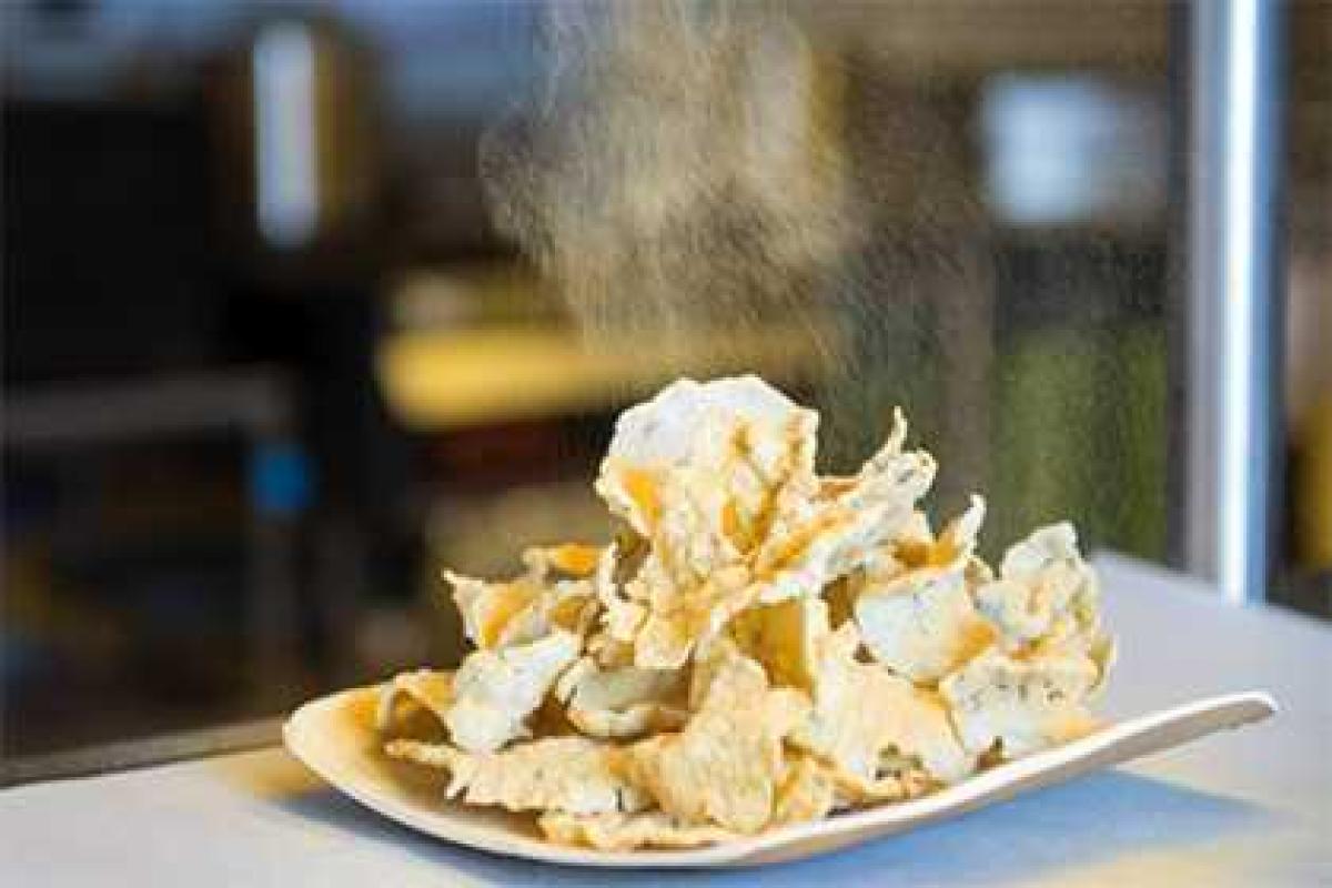 Генетики создали водоросли со вкусом бекона