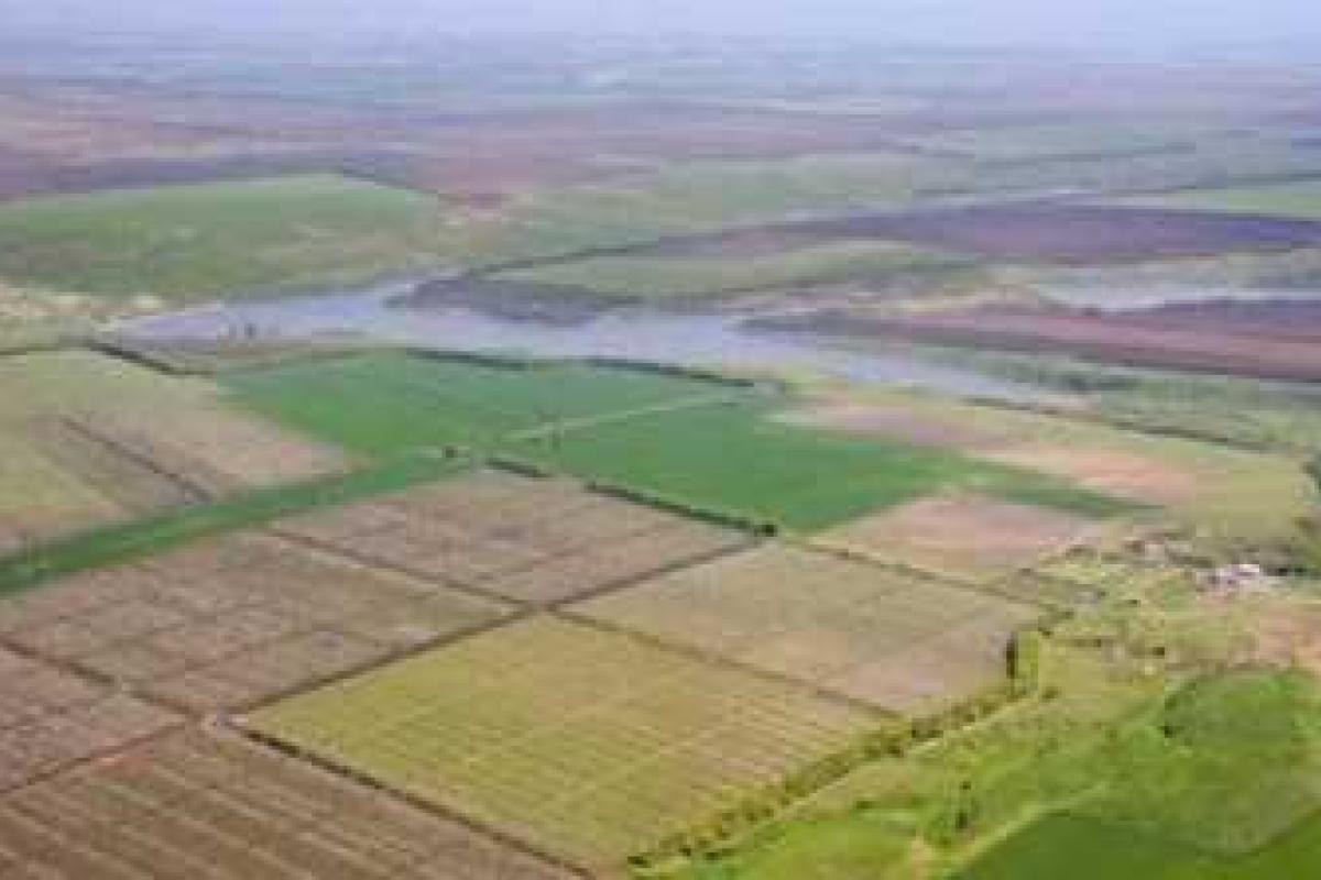 97,8% украинцев не знают о бесплатной земле от государства 97,8% украинцев не знают о бесплатной земле от государства