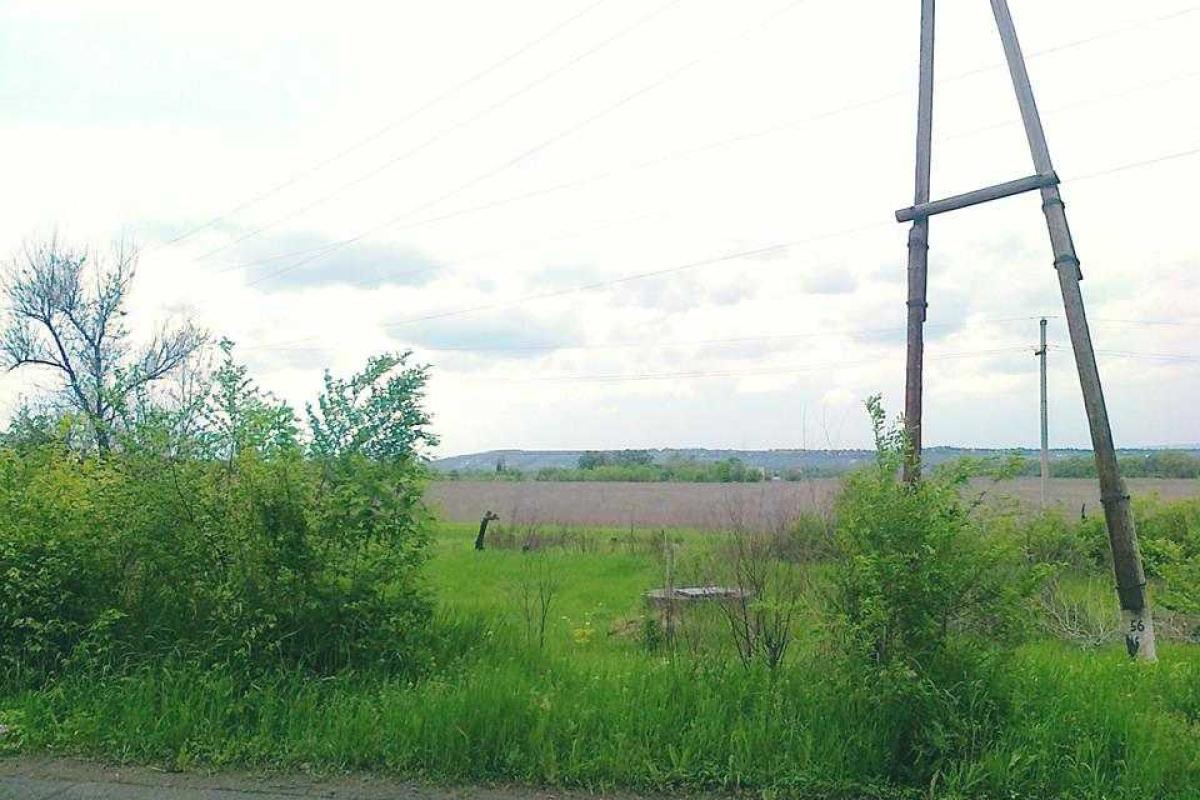 Власти "ЛНР" рапортуют о рекордных показателях собранного урожая пшеницы