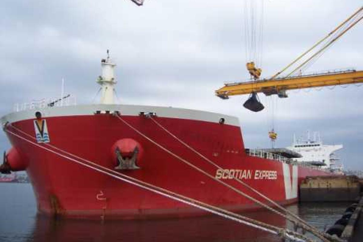 Партия угля из ЮАР для двух ТЭЦ уже прибыла в Украину Партия угля из ЮАР для двух ТЭЦ уже прибыла в Украину