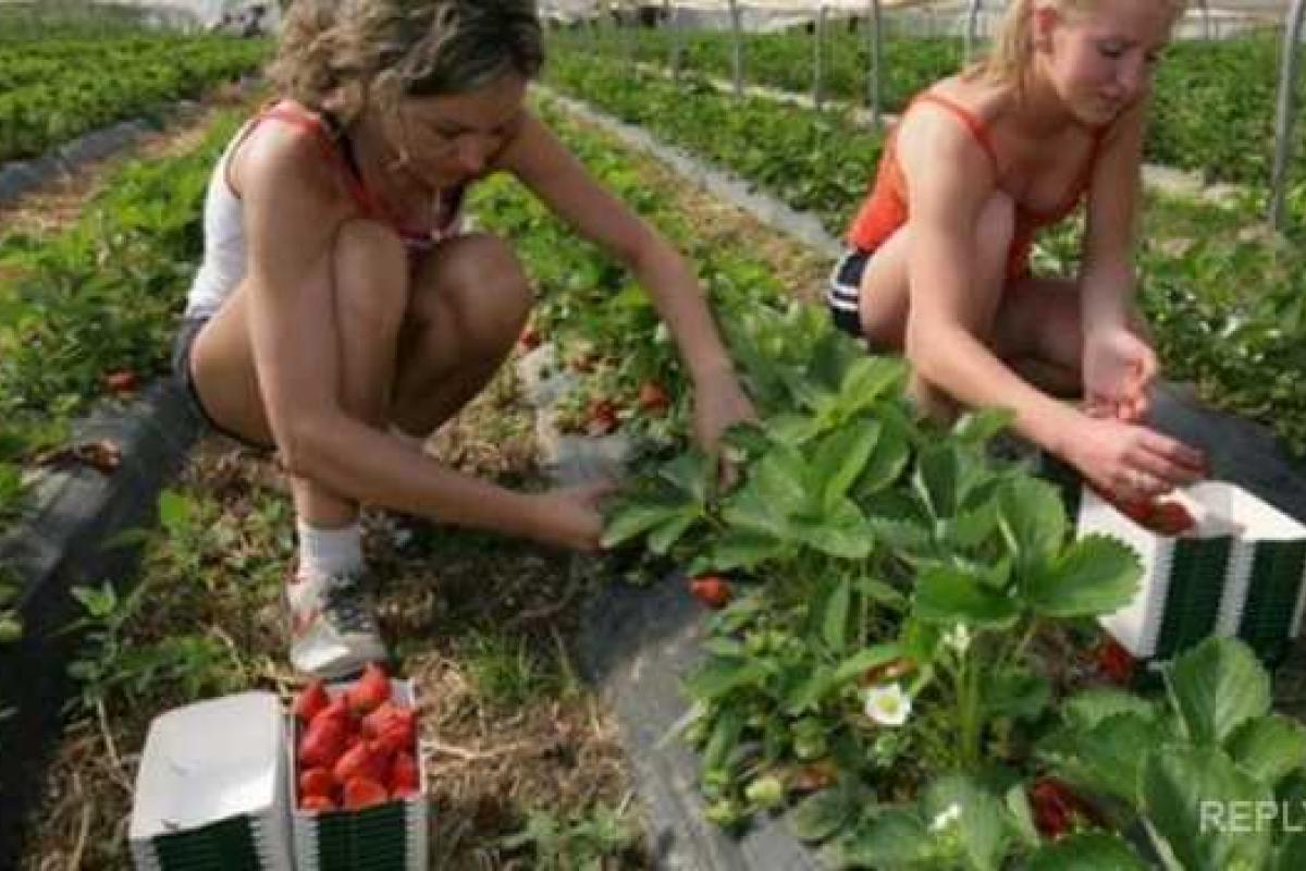 Украинцы, которые ездят на заработки за границу, будут платить налоги двум странам Украинцы, которые ездят на заработки за границу, будут платить налоги двум странам