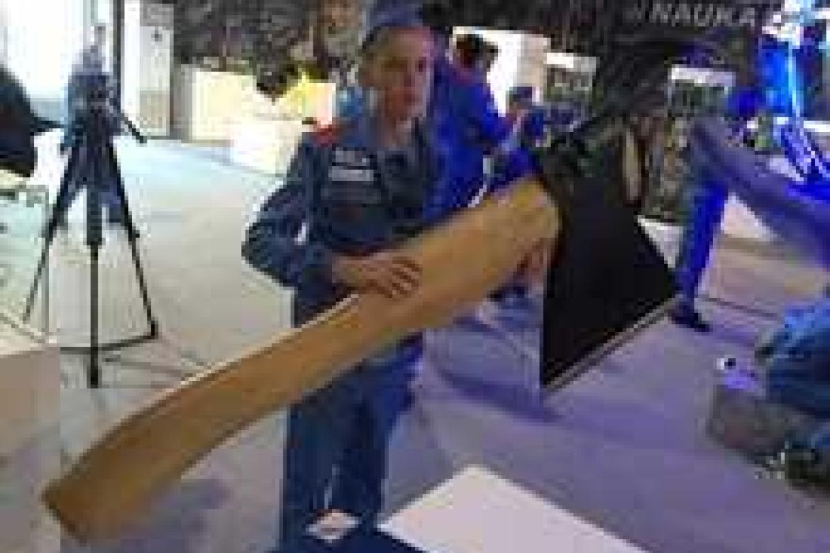 Путину хотели подарить летающий топор Путину хотели подарить летающий топор