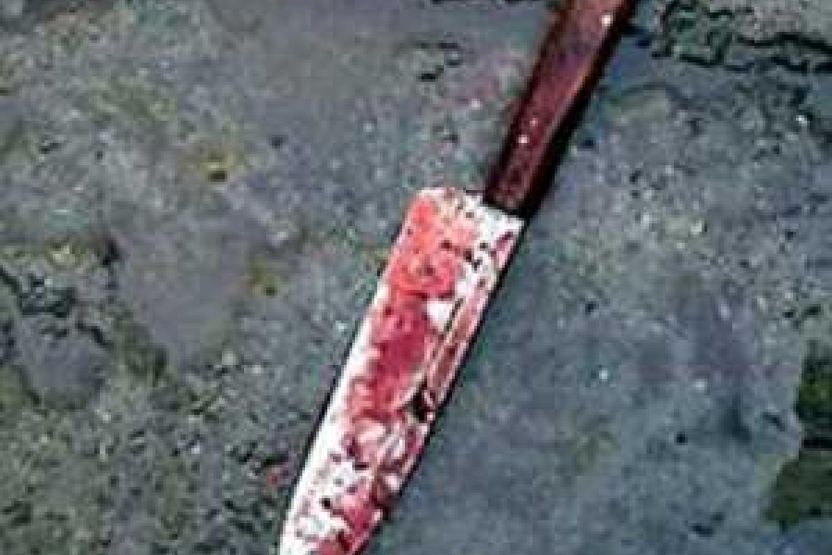 В Бахмутовке женщина зарезала знакомую из-за ревности В Бахмутовке женщина зарезала знакомую из-за ревности