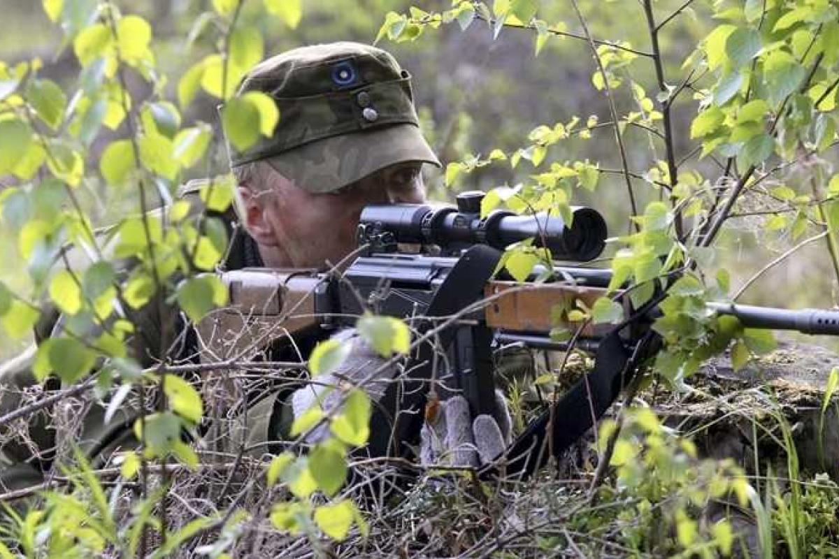 Эстонцы учли горький опыт Украины и будут стрелять в "зеленых человечков" без промедления