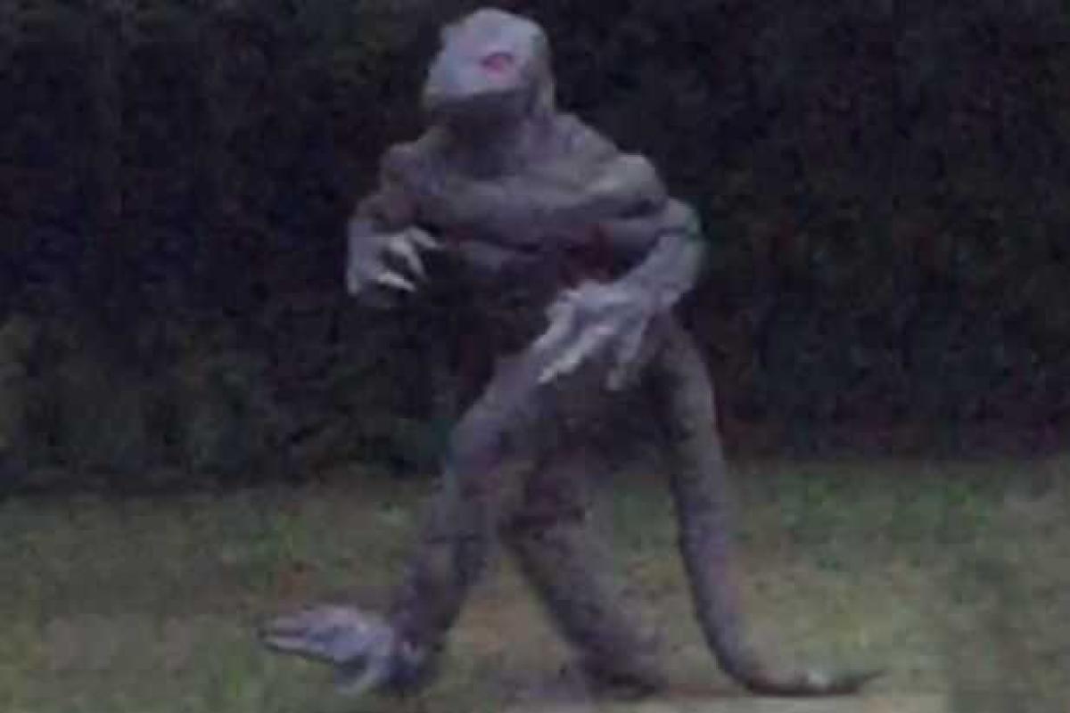 В сеть выложили потрясающие фото двухметрового человека-ящера В сеть выложили потрясающие фото двухметрового человека-ящера