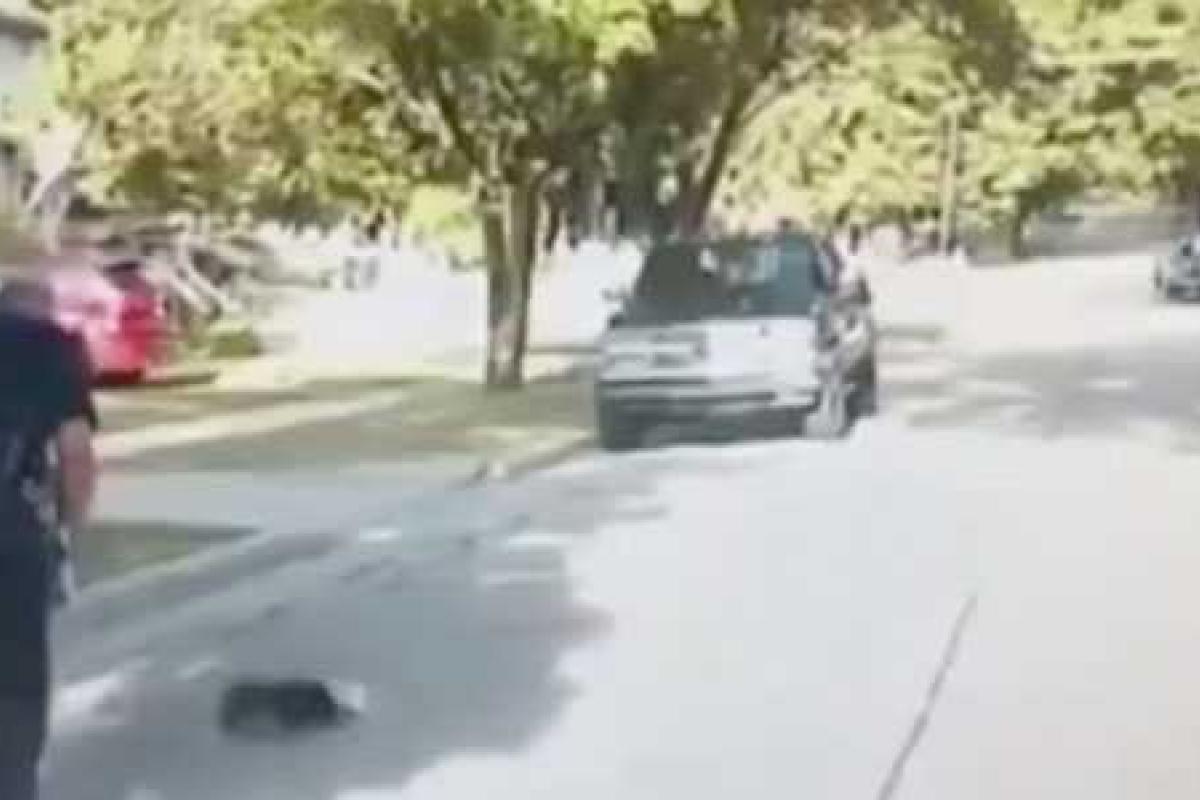 Полицейский спас скунса, но не ожидал такой "благодарности" Полицейский спас скунса, но не ожидал такой "благодарности"