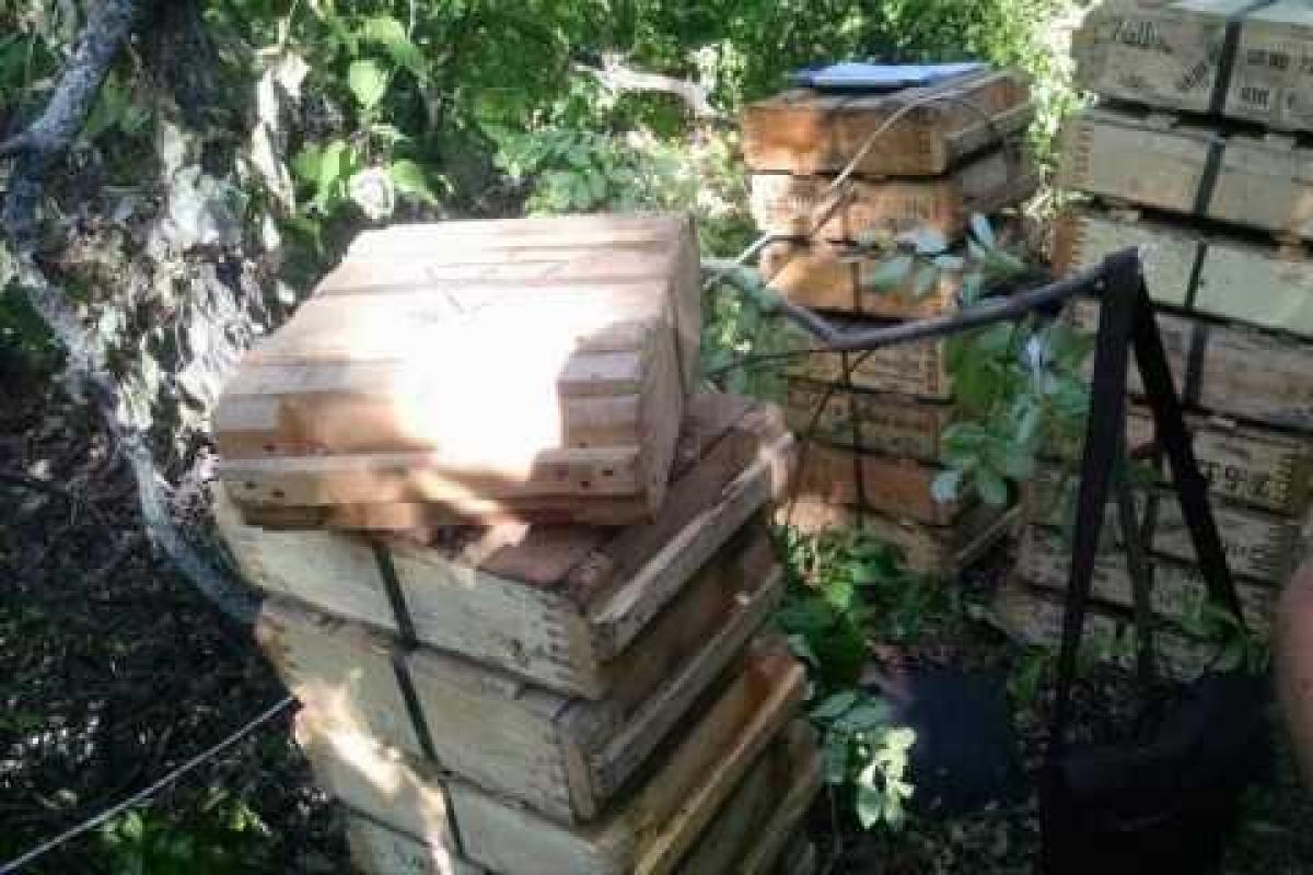 ВПУ: В Донецкой области обнаружен тайник боеприпасов добровольческого батальона ВПУ: В Донецкой области обнаружен тайник боеприпасов добровольческого батальона