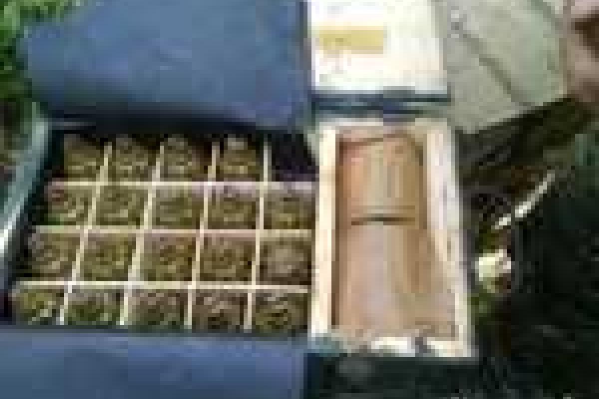 Добровольческий батальон устроил схрон боеприпасов на Донбассе