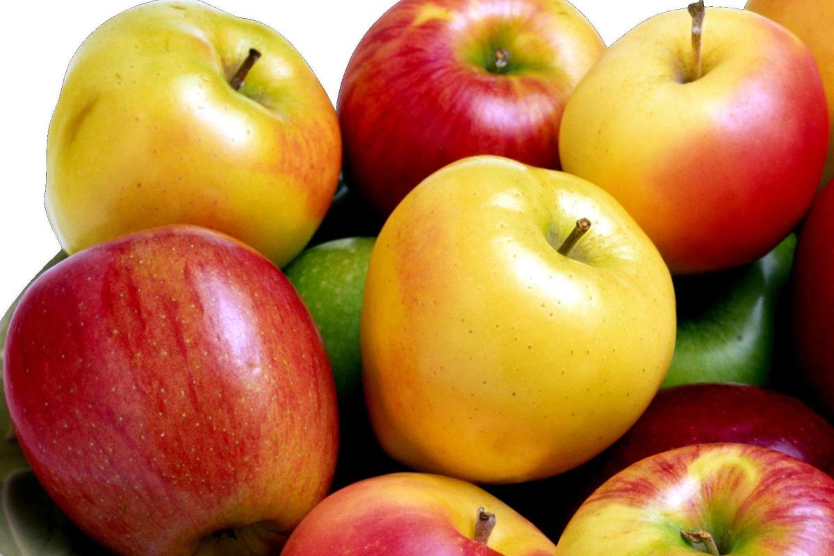 В Крым не доехали 30 грузовиков украинских яблок В Крым не доехали 30 грузовиков украинских яблок