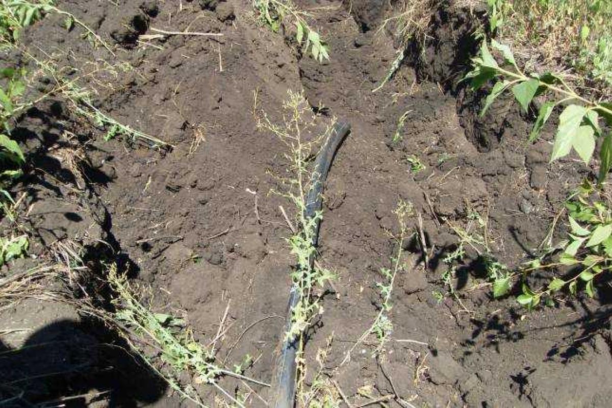 На Луганщине найден подземный трубопровод, ведущий в Воронежскую область