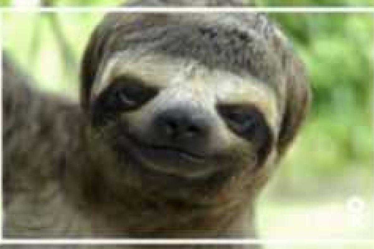 «Одноклассники» предлагают поиграть в названия «Одноклассники» предлагают поиграть в названия