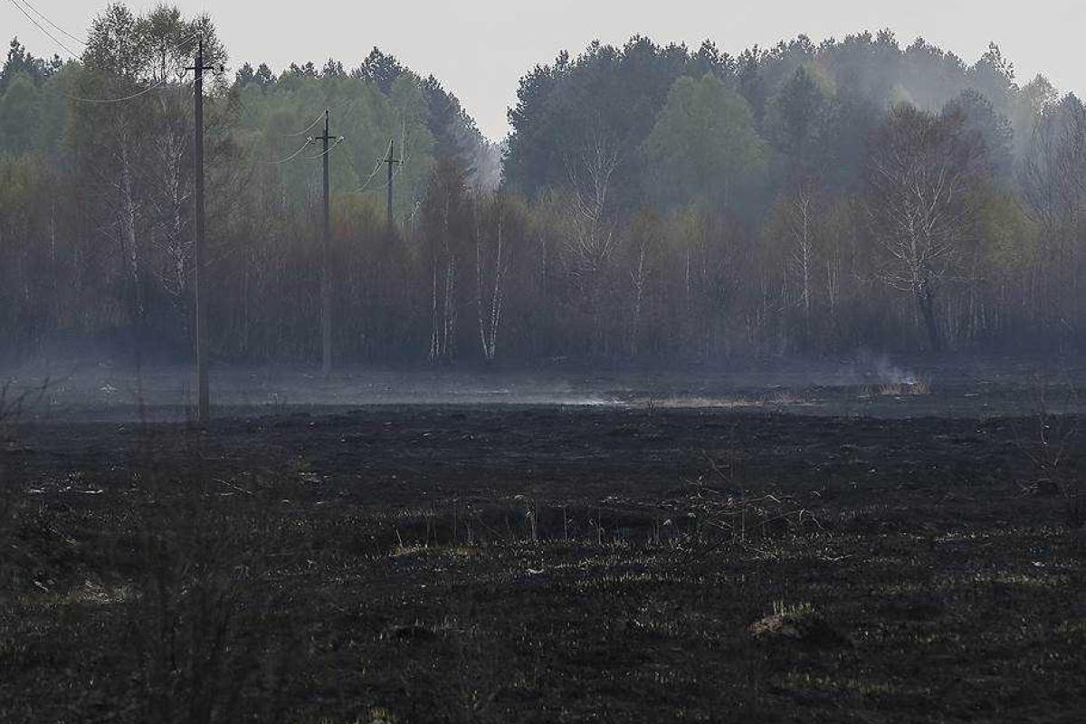 В "Чернобыльской пуще" открытого огня нет - ГСЧС В "Чернобыльской пуще" открытого огня нет - ГСЧС