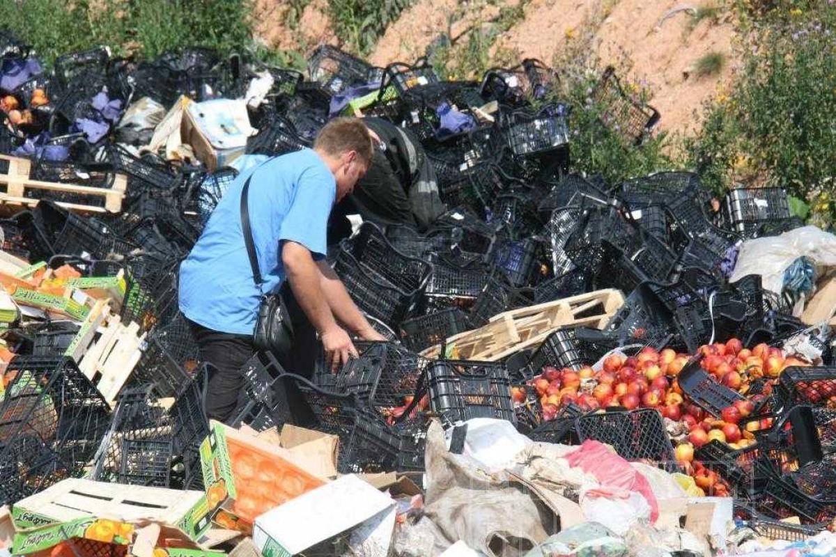 В Смоленске на свалке собирают санкционные персики на самогонку В Смоленске на свалке собирают санкционные персики на самогонку
