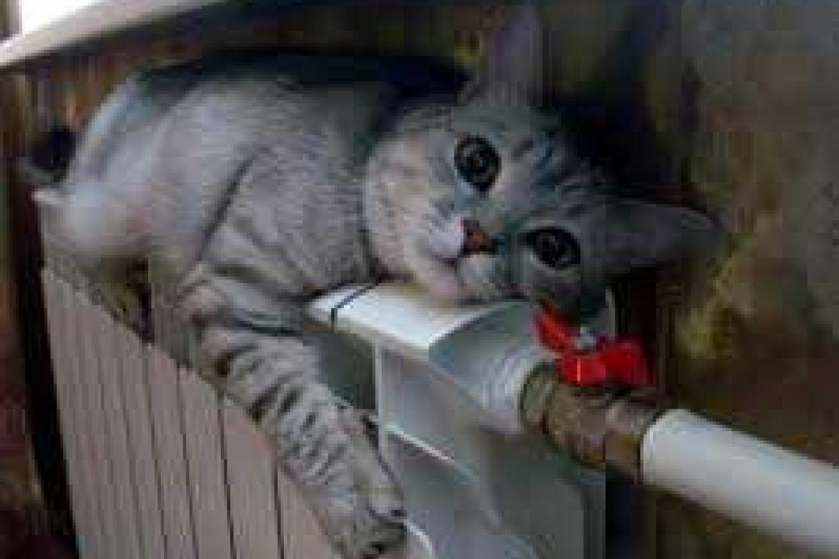 В Украине хотят снизить минимальную температуру в квартирах В Украине хотят снизить минимальную температуру в квартирах