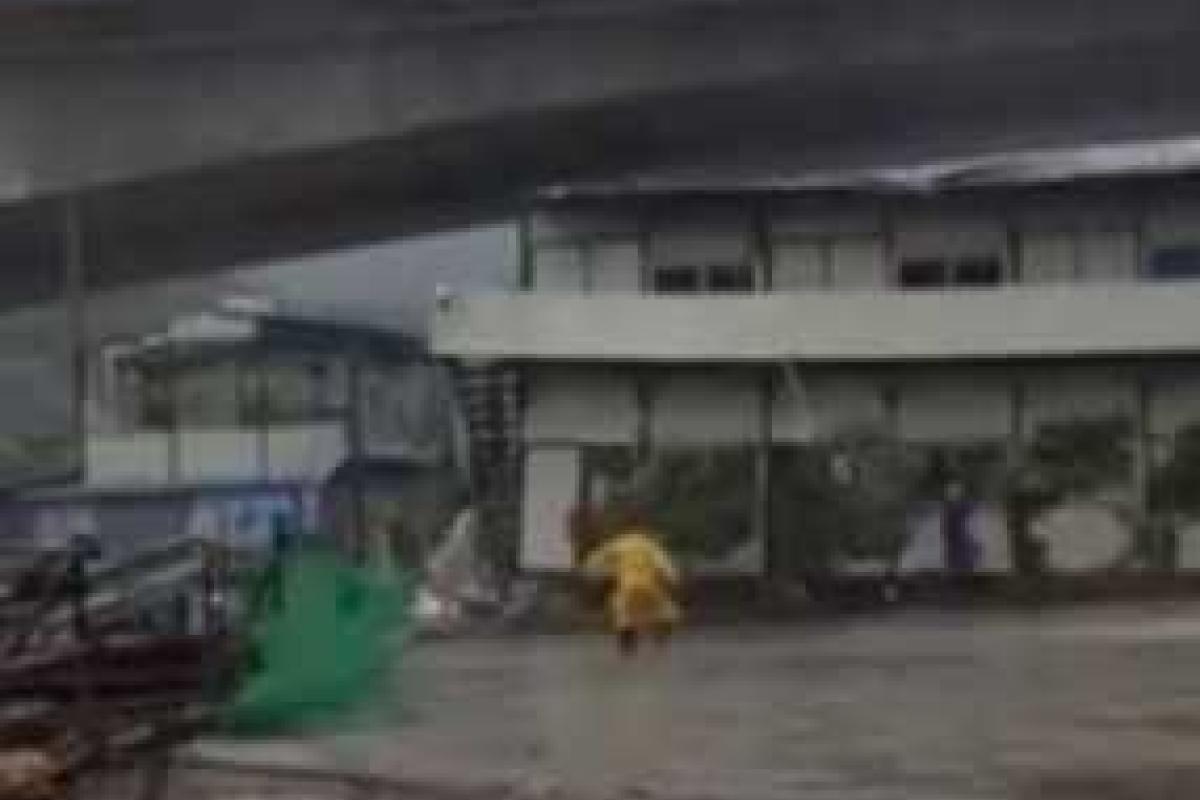 В сеть попало видео, как тайфун Soudelor накрыл Тайвань и Китай В сеть попало видео, как тайфун Soudelor накрыл Тайвань и Китай