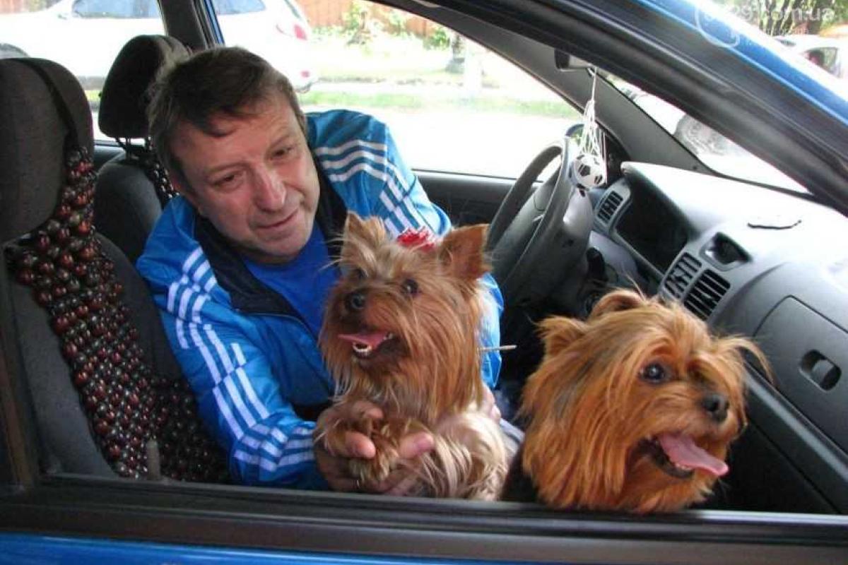 Мариупольские пенсионеры уже 11 дней плачут из-за пропажи "пушистых детей" 