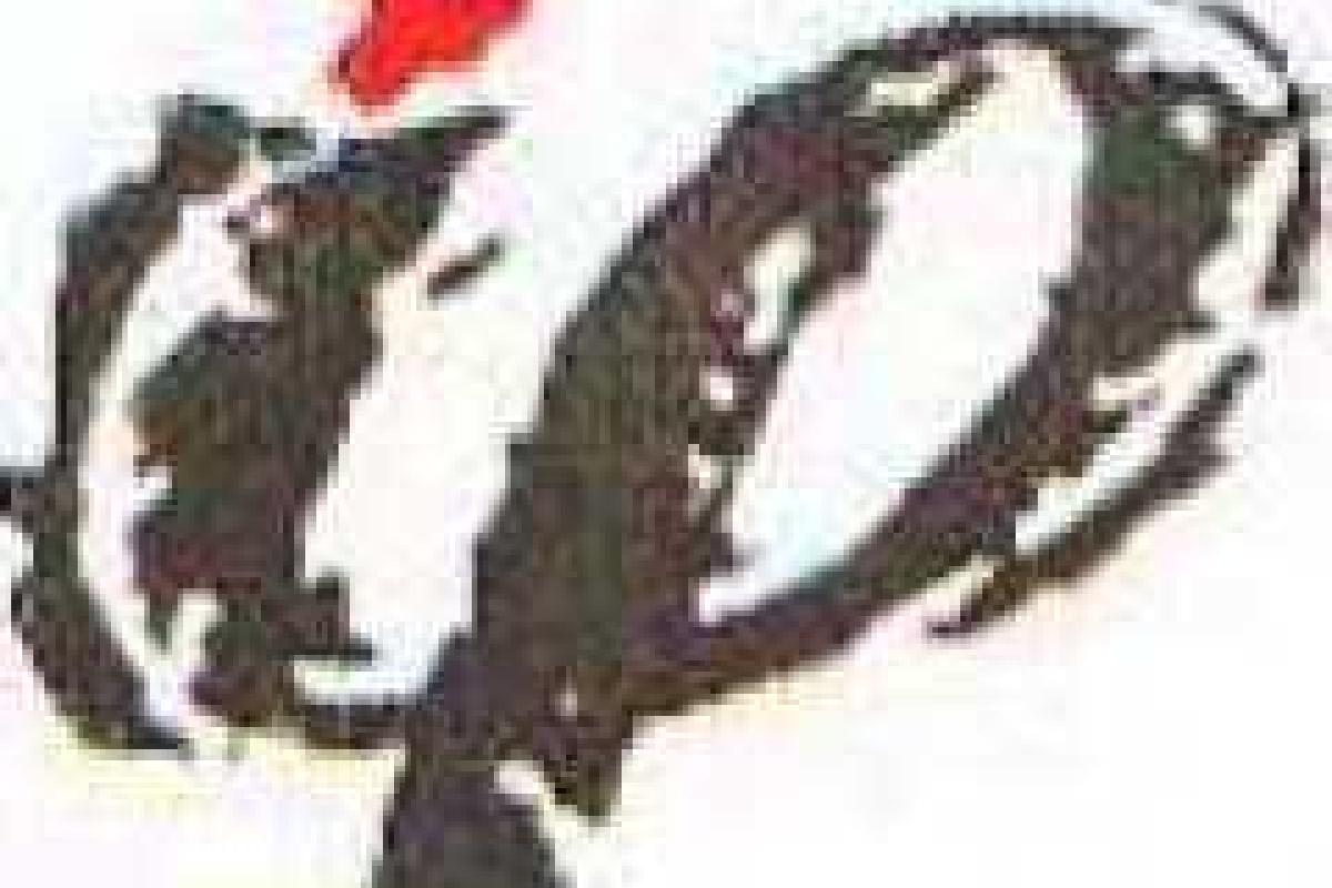 Завтра в Мариуполе состоится Гала-концерт победителей «Червоной Руты» Завтра в Мариуполе состоится Гала-концерт победителей «Червоной Руты»