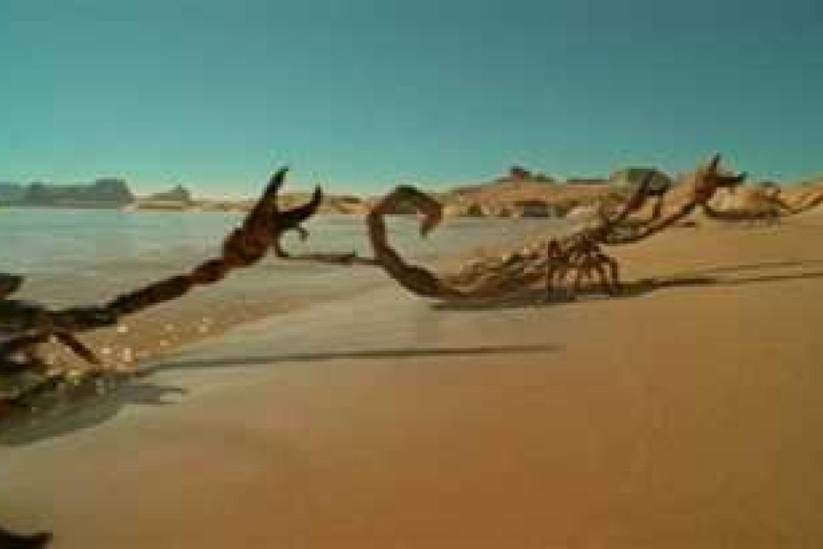 Скелет двухметрового скорпиона нашли в Америке Скелет двухметрового скорпиона нашли в Америке