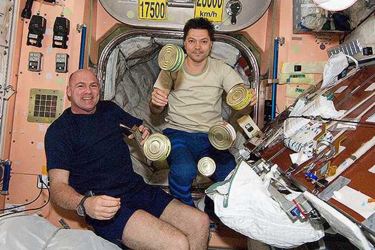 Московских студентов будут кормить космической едой Московских студентов будут кормить космической едой