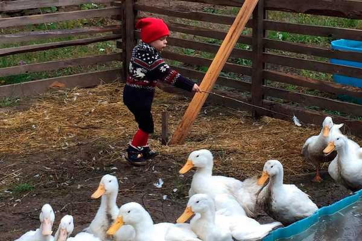 Яна Рудковская выложила фото своего сынишки, похожего на сказочного персонажа