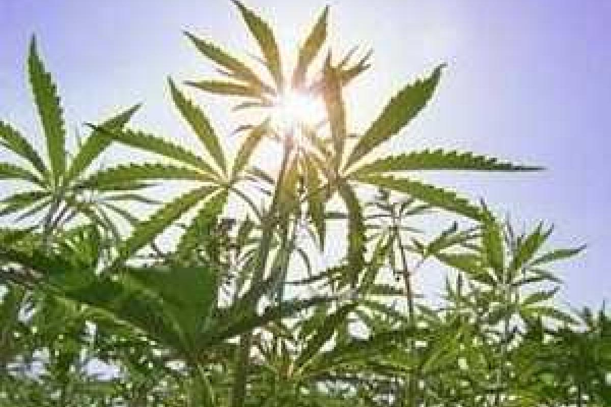 Славянскую наркобароншу могут выпустить под залог Славянскую наркобароншу могут выпустить под залог