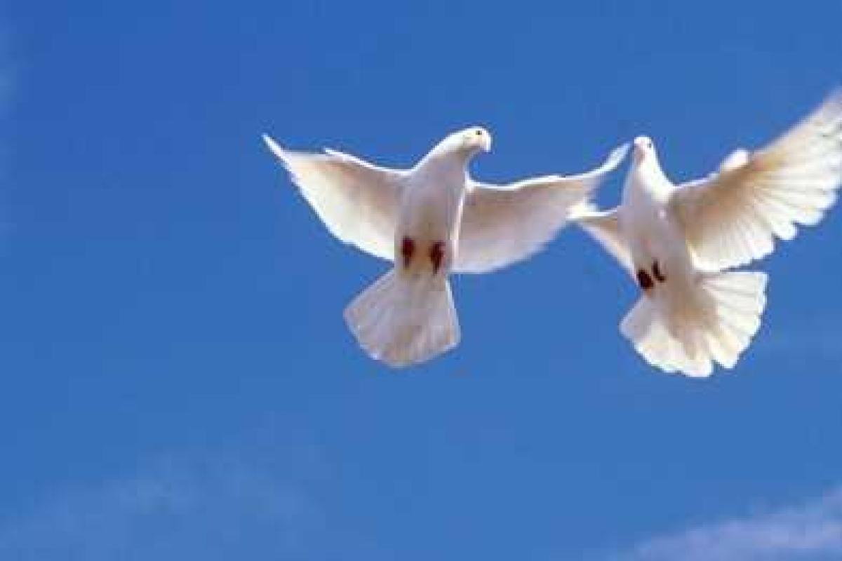 В секторе «М» начался 7-й день тишины