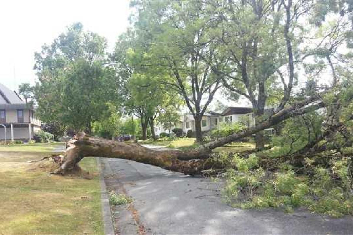 Во Франции мощный ураган оставил без электричества 70 тысяч человек