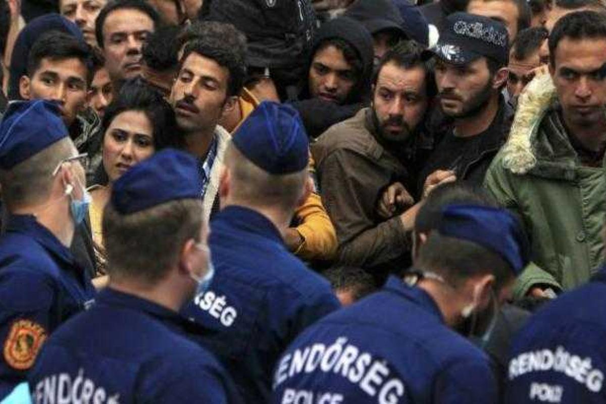 Венгерская полиция на границе с Сербией задержала более 9 тысяч мигрантов Венгерская полиция на границе с Сербией задержала более 9 тысяч мигрантов