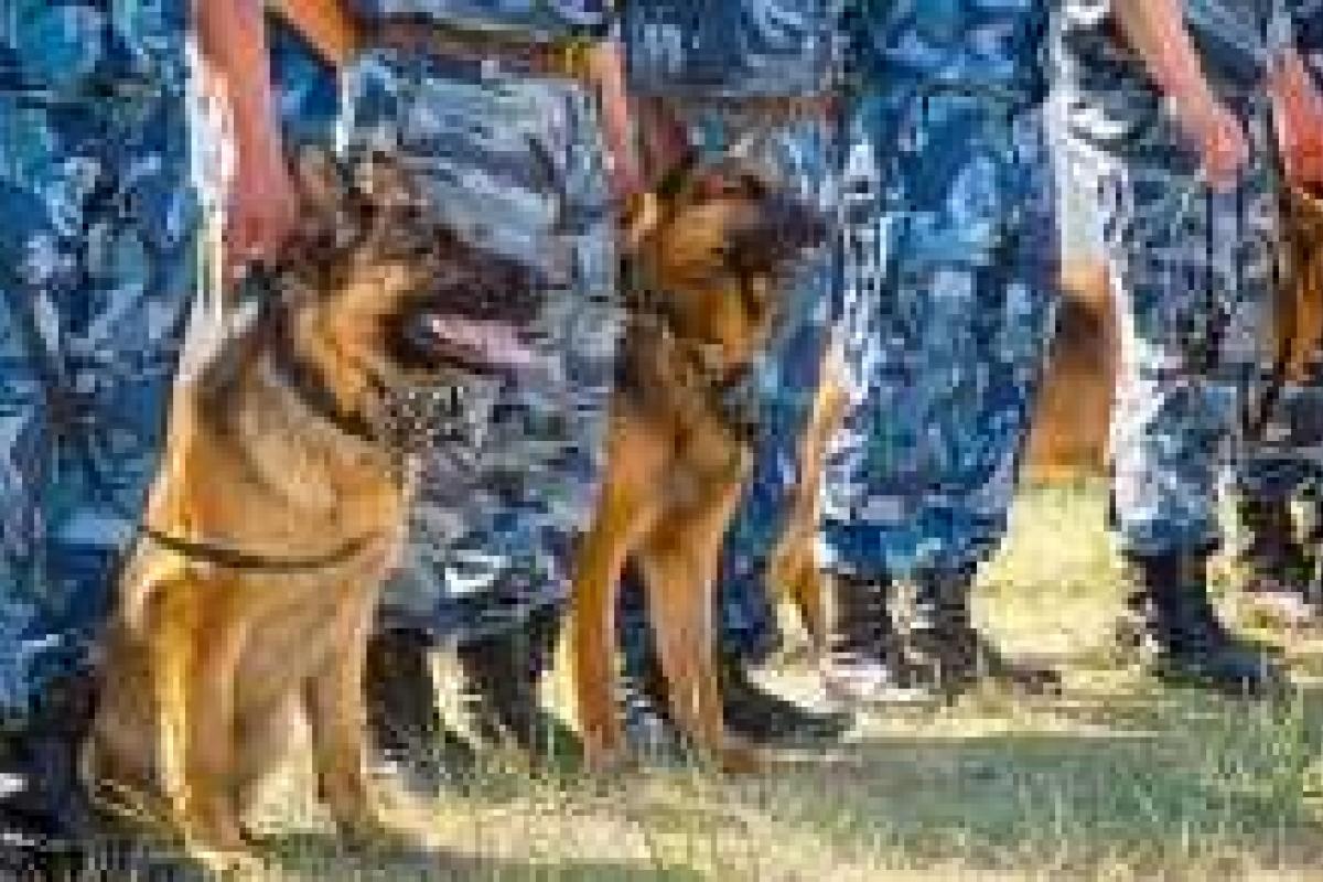 В Москве из-за взрывчатки эвакуируют людей со всех ж/д вокзалов В Москве из-за взрывчатки эвакуируют людей со всех ж/д вокзалов