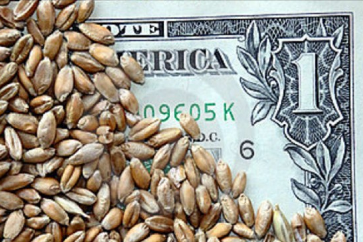 После формирования новой парламентской коалиции бывшие регионалы стали занимать ключевые позиции во власти