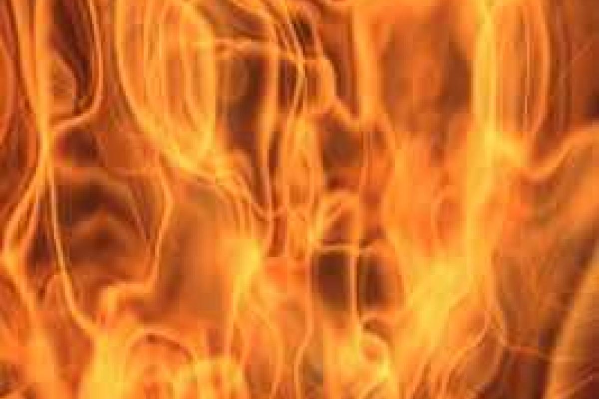 В Москве в ветеринарной клинике загорелись клетки для птиц: есть пострадавшие  В Москве в ветеринарной клинике загорелись клетки для птиц: есть пострадавшие