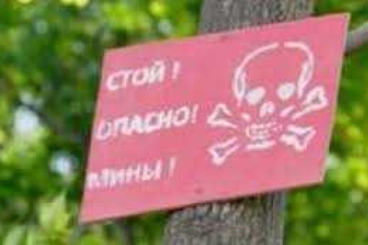 Луганские террористы минируют буферную зону