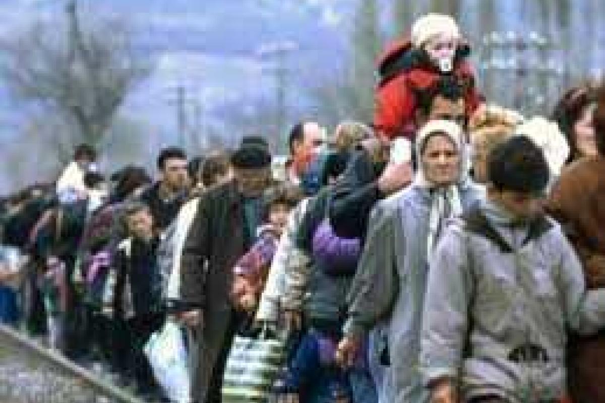 На зарегистрированных переселенцах могут зарабатывать контрабандисты На зарегистрированных переселенцах могут зарабатывать контрабандисты