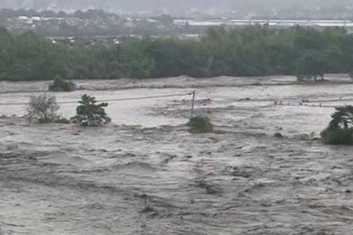 В Японии ищут 15 человек, пропавших из-за наводнения